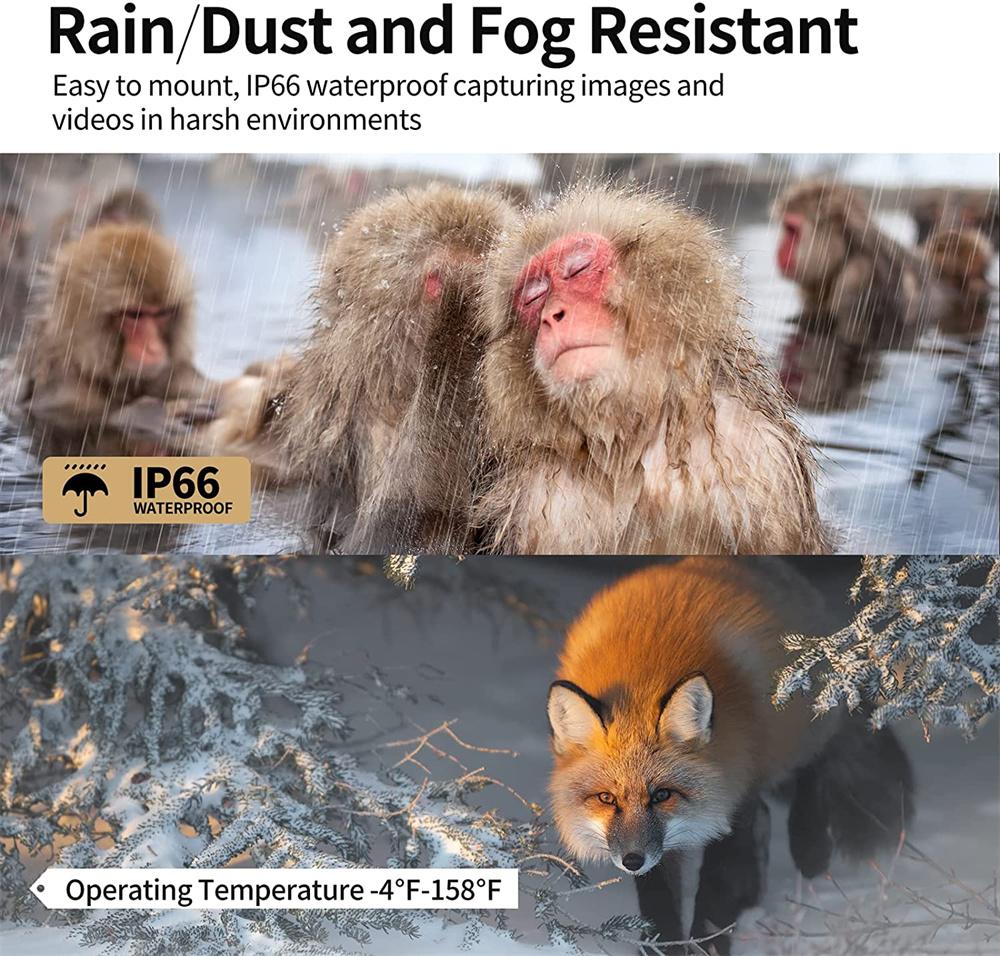 Outdoor Wifi Trail Kamera Bluetooth 4k 36mp Wild Kamera 940nm Nachtsicht Bewegung Aktiviert Wasserdichte Jagd Wildlife Cam