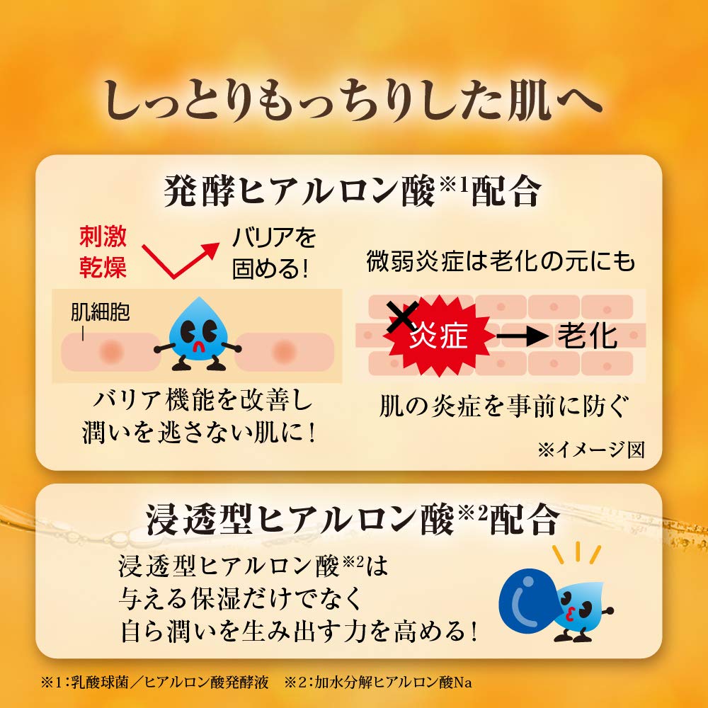 Hada Labo Gokujun Premium Hyaluronic Lotion 170ml (x 1)