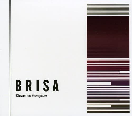 

CD BRISA ELEVATION PERCEPTION Japan Japanese Club Dance Used