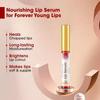 The Ayurveda Co. Kumkumadi Lip Serum for Dry 10ml