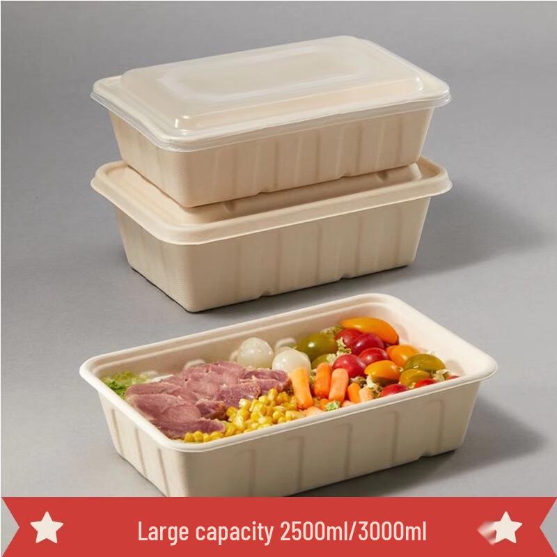 American Style Degradable Pulp Takeout Containers with Lids