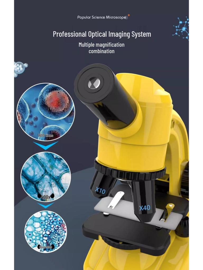 Hochauflösendes biologisches Mikroskop für Kinder im Alter von 6-12 Jahren: Ideal für den Unterricht über Zellen, Bakterien und Mikroorganismen in Grund- und Mittelschulen