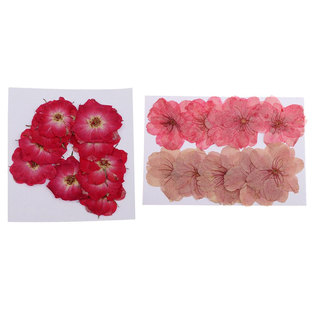 Buy 20 Pieces Mixed Pressed Dried Sakura Flowers Cherry Blossom Rose at