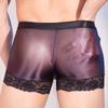 Sexy Lace Side Panties High Elastic Sheer See Through Men'S Boxer Exotic Gay Underwear U Convex Bulge Pouch Male Slip Lingerie