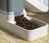 Automatic Pet Water and Food Dispenser - Cat & Dog Bowl and Tray Set