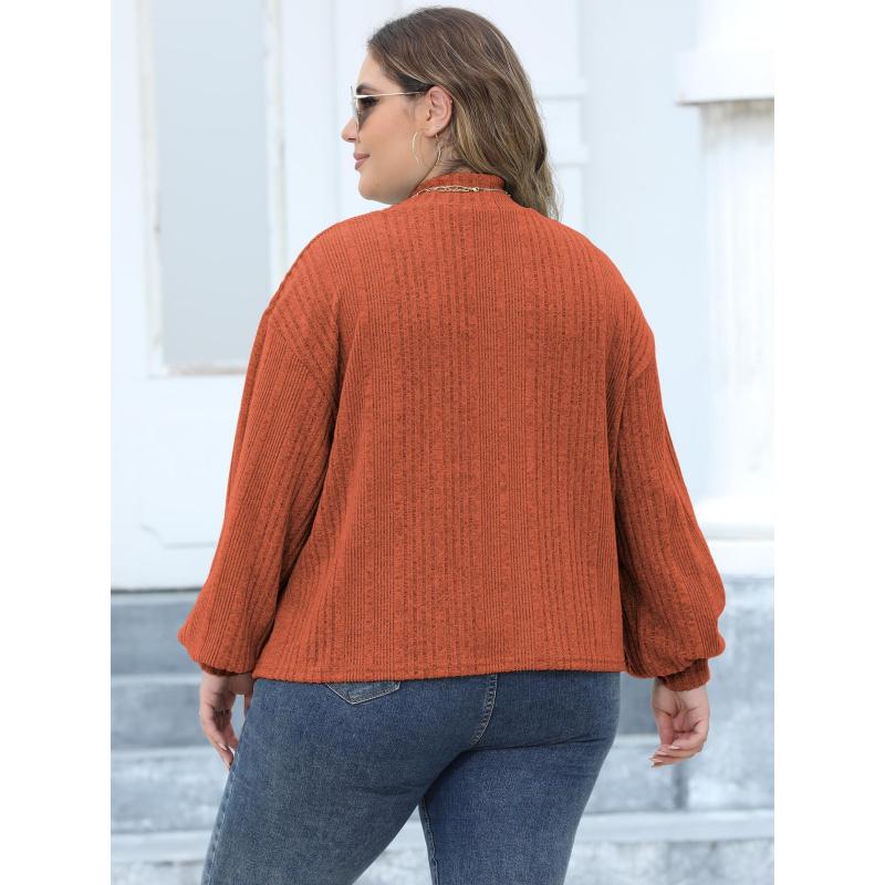 Damen Pullover Top Frühling und Herbst Neu Übergröße Damen Halbpullover T-Shirt Beflocktes Geripptes Basic-Shirt