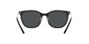 Sunglasses EA4181 Gray Lens 54 [Emporio Armani] Black/Dark