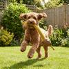 Non-Toxic Long Strip Dog Chew Interactive Bite-Resistant Squeaky Dog Animal Shaped Long Neck Pet Molar Pets Entertainment