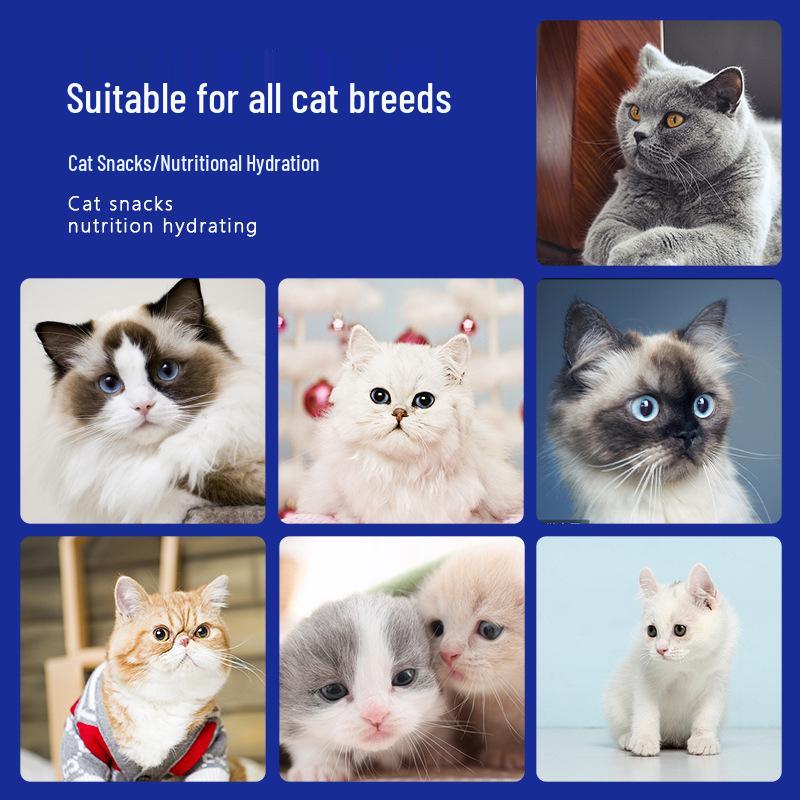 Cat Snack Kitten Nutrition: Wet Food Pouch for Weight Gain