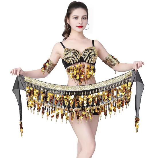 Belly Dance Waist Chain Sequins Hip Scarves Double Tier Waist
