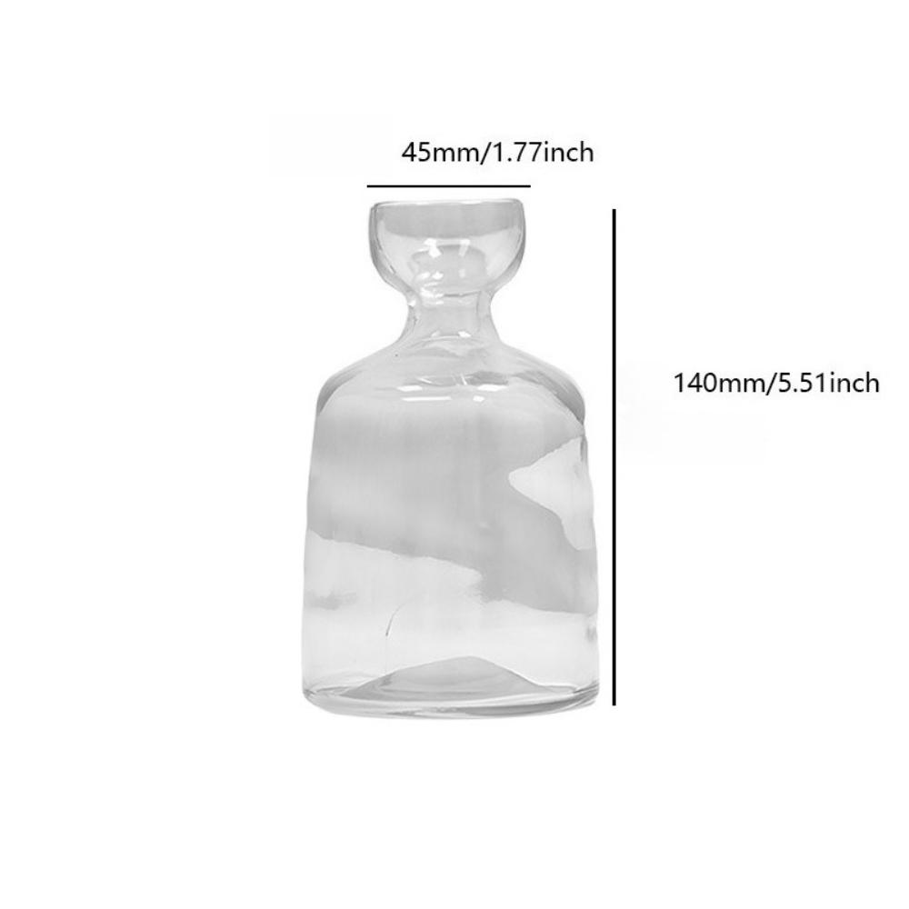 Kreativní váza Skleněná hydroponická váza na semena Skleněná váza Váza na avokádo Domácí dekorace na stůl Hydroponická ozdoba Milovníci zahradničení