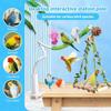 Parakeet Perch Desktop Swing Standing Pole With Clip BendableBird Stand Perch For Canary Finch Cockatiel Lovebird Hummingbird