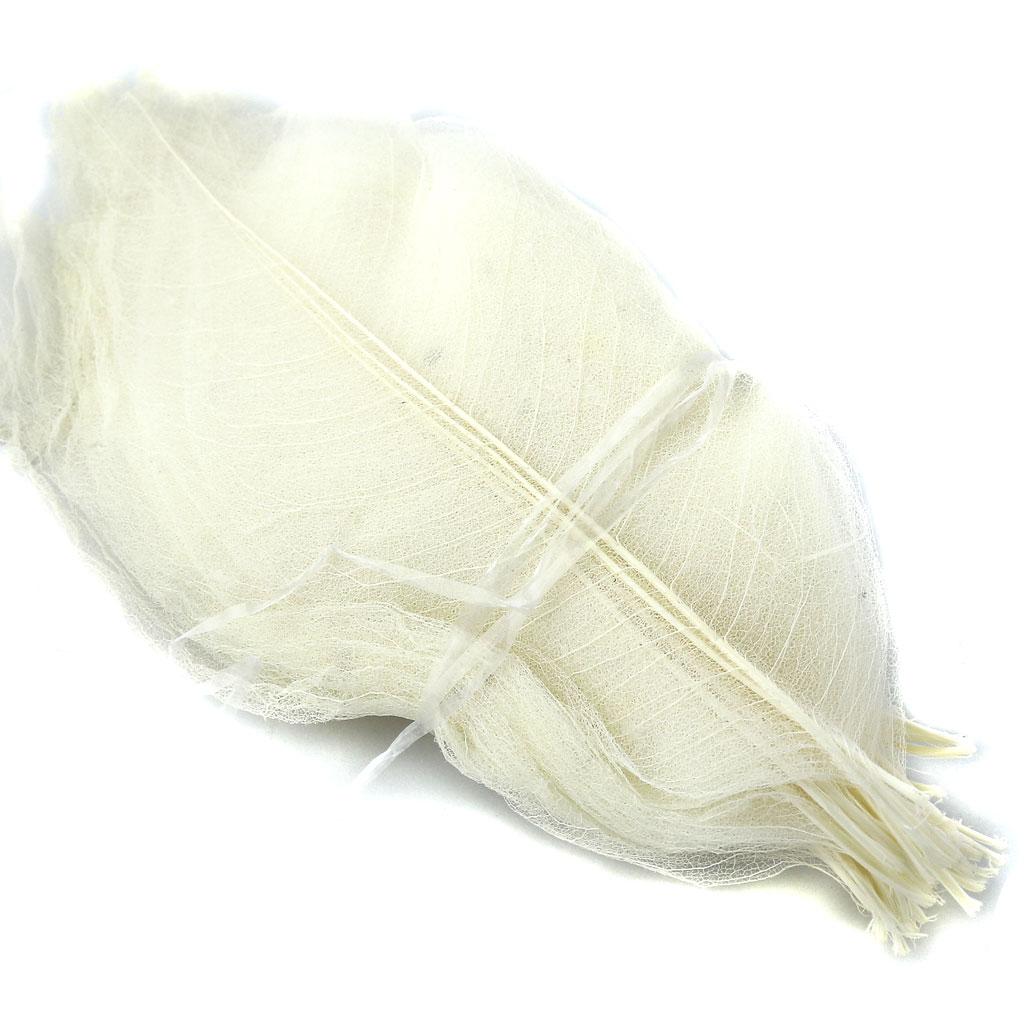 Pack of 50 Skeleton Leaves Scrapbooking Craft DIY Wedding Invitation White