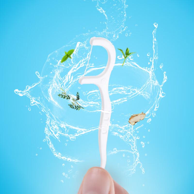 Laobaojia Disposable Dental Floss Picks