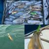 Night Glow Wooden Shrimp Squid Hook Soft Footed Bait with Sound Beads Fake Bait for Fishing