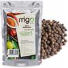 English Seeds, Grain, Aromatic - 500G -Migo