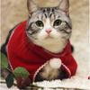 Cute Pet Christmas Outfits for Cats and Dogs Great for Holiday Decoration