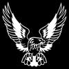 Fashion Eagle Car Body Sticker Wild Animal Decorative PET Reflective Auto Decal