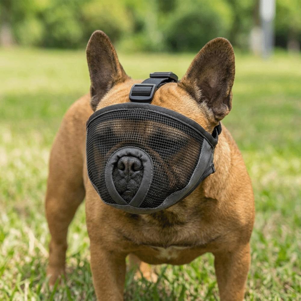 Soft Dog Mouth Guard Breathable Anti Bite Muzzle Durable Short Snout Dog Muzzle Bark Control S