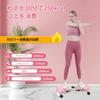 BKJANYO Twist Diet Equipment for Abdominal Indoor Exercise Equipment for Lower Body Abdominal Healthy Aerobic Quiet Board, Muscles, Slimming,