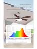 Wabi-Sabi Walnut Ceiling Fan with Full-Spectrum Light - Ideal for Chinese-Style Dining Rooms and Living Areas