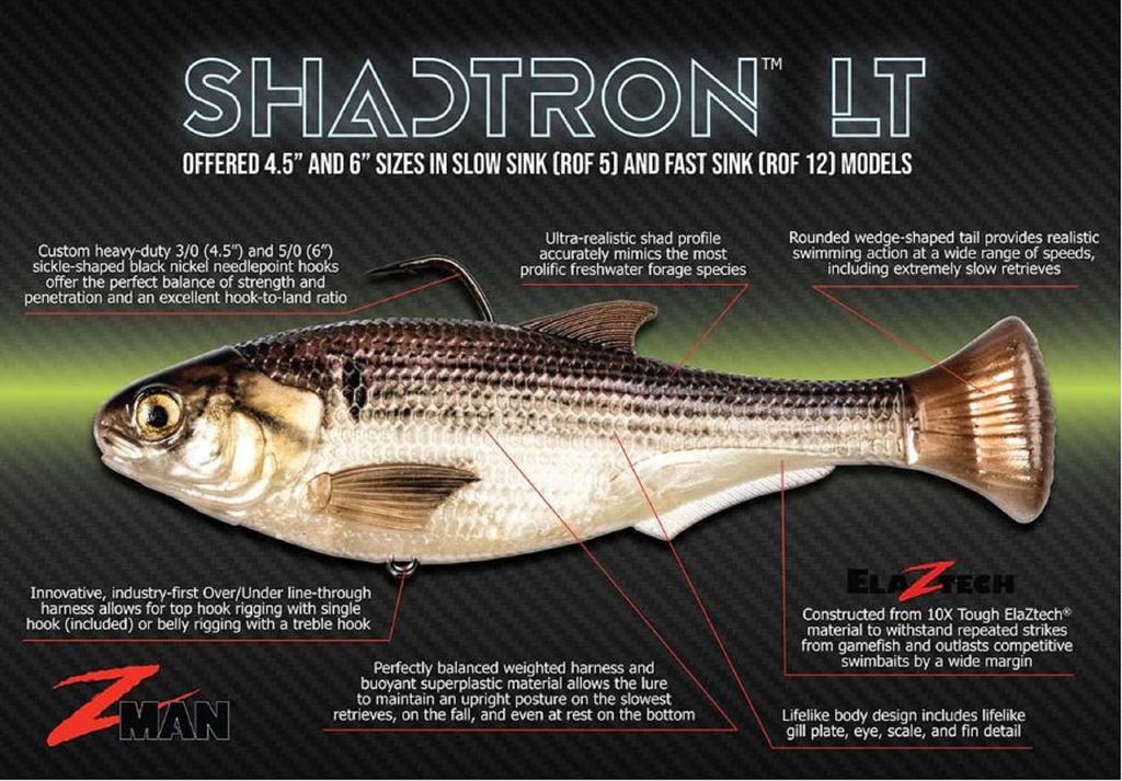 Zman Soft Lure Shadtron LT Swimbait 6 Inch Mossback (0615)