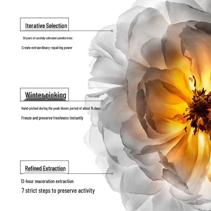 Kerastase Camellia Classic Fragrance Hair Oil Gift Set