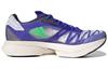 Adizero Adios Pro 2 Adidas 'Sonic Ink Screaming Green' FY4082