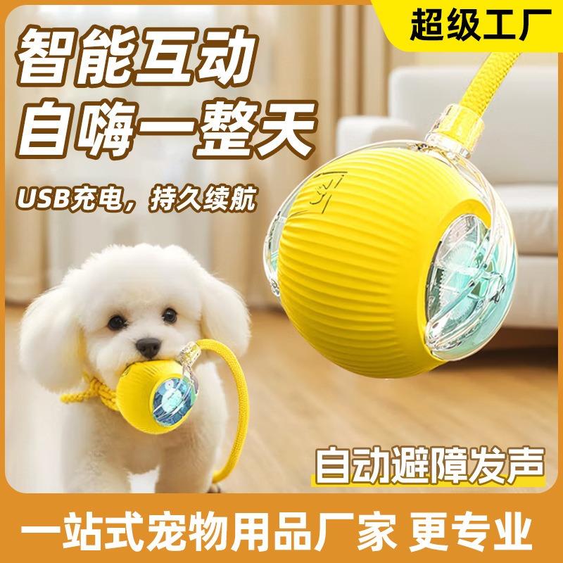 Automatic Smart Electric Bouncing Ball Bite Resistant Interactive Pet Toy For Dogs