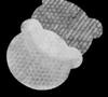 Arocell Pore Clear Pad Skin Refining Complexion Balance 180ml 70 Pads