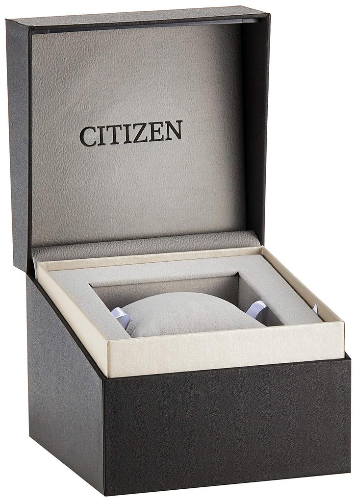 Citizen Solar Quartz Black Dial Watch Eco-Drive Men's AT2430-80E