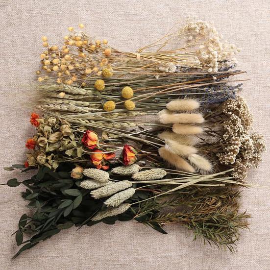 DIY Natural Dried Flower Set Eucalyptus Lavender Wheat Bunny Tails Billy Ball Flower Bouquet with Stems for DIY Crafts Home Wedding Vase Decor