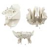 Human Skeleton Anatomical Model Temporal Bone Model Teaching Aid Human Ethmoid Bone Model for Science Class