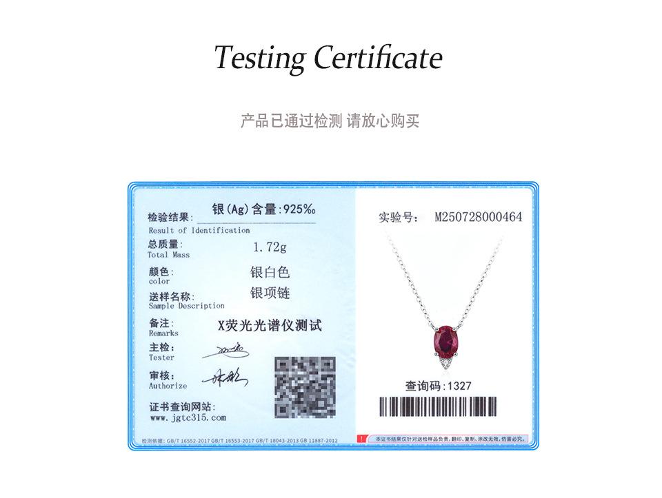 Simple Fashion Geometric Oval Zircon Clavicle Chain 925 Sterling Silver Simulated Ruby Pendant Necklace for Wedding Parties