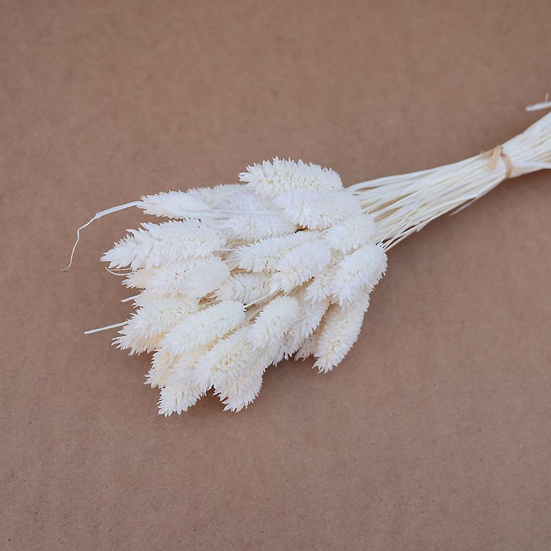 Natural Dried Statice Flower Bouquet - Everlasting Decoration for Vase & DIY Arrangements