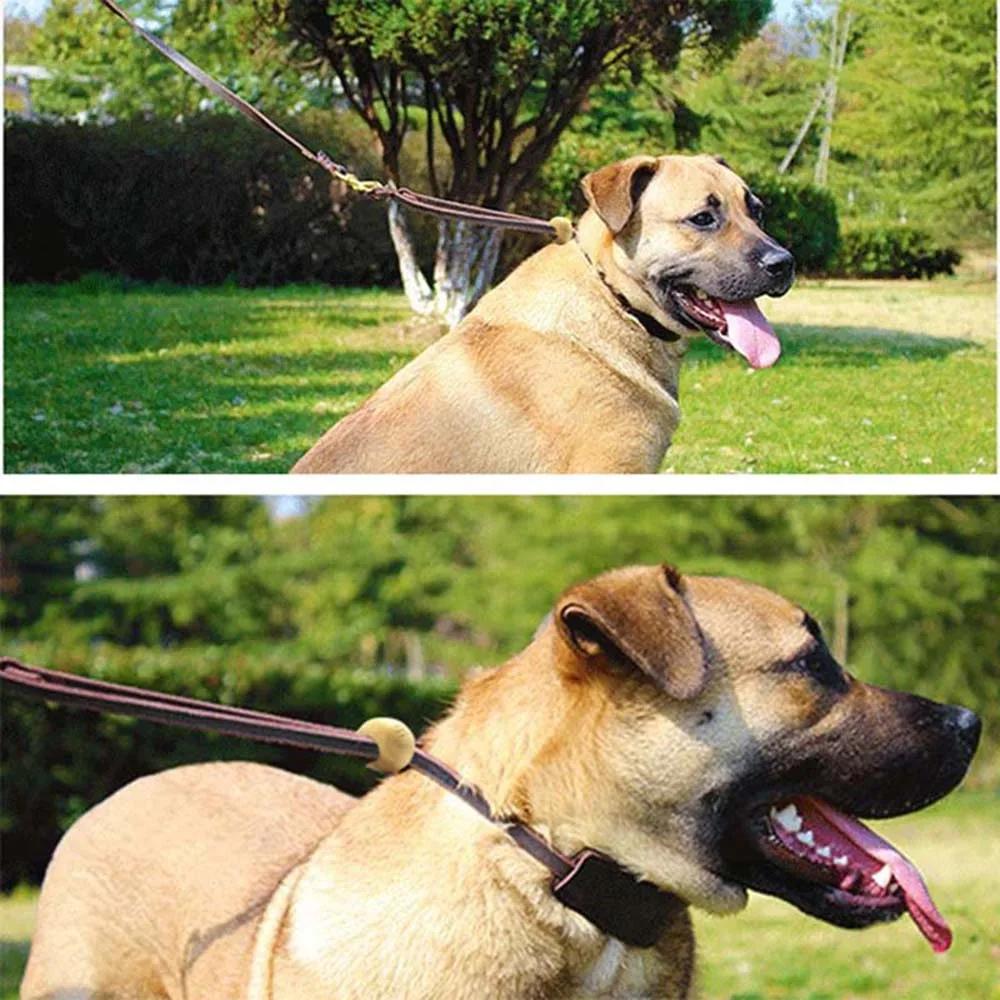 Real Leather Martingale Dog Collar Soft Wide Genuine Leather Dog Collar Adjustable for Medium Large Dogs Pet Training Supplies