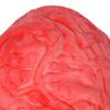 Halloween Ghost Day Simulation Brain Toys Horror Rubber Fake Human Brain Prop Toy Organ Body Part Halloween Decoration Accessory