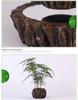 Magnetic Levitation Potted Plant Ornament - Creative Home Décor & Gift
