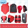 Cangyi Sanda Combat Protective Gear Set