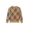 Checked Crewneck Jumper 80934861