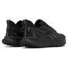 Reebok Floatride Energy 5 Adventure Black Grey Men Sneakers Core-Black Pure-Grey 100074428