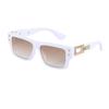 JYL TS Unisex Small-Frame Square - Driving Sun-Protective Trendy Eyewear H2852