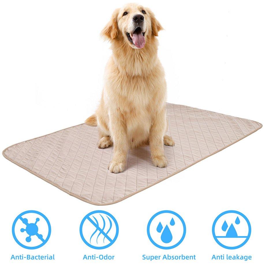 washable dog pad