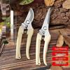 Stainless Steel Pruning Shears for Garden, Fruit, Flower, and Wood