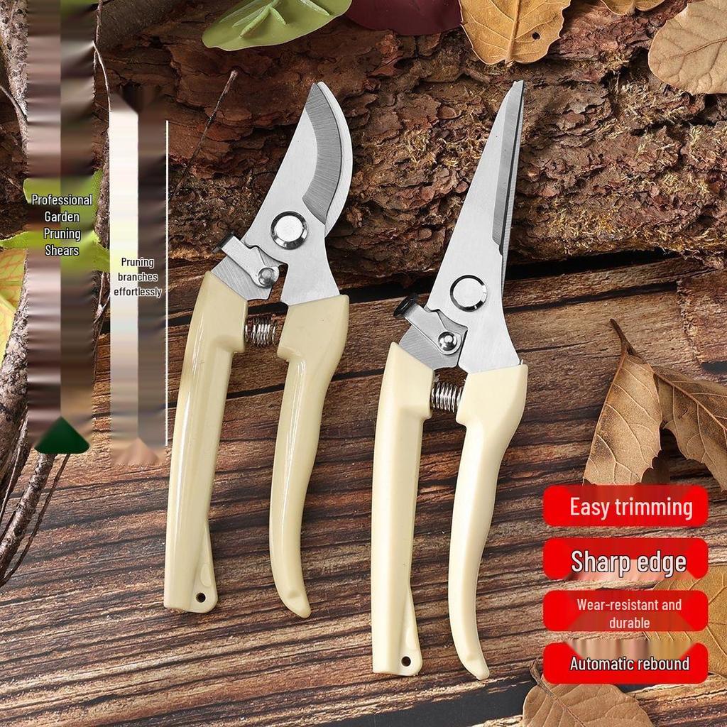 Stainless Steel Pruning Shears for Garden, Fruit, Flower, and Wood