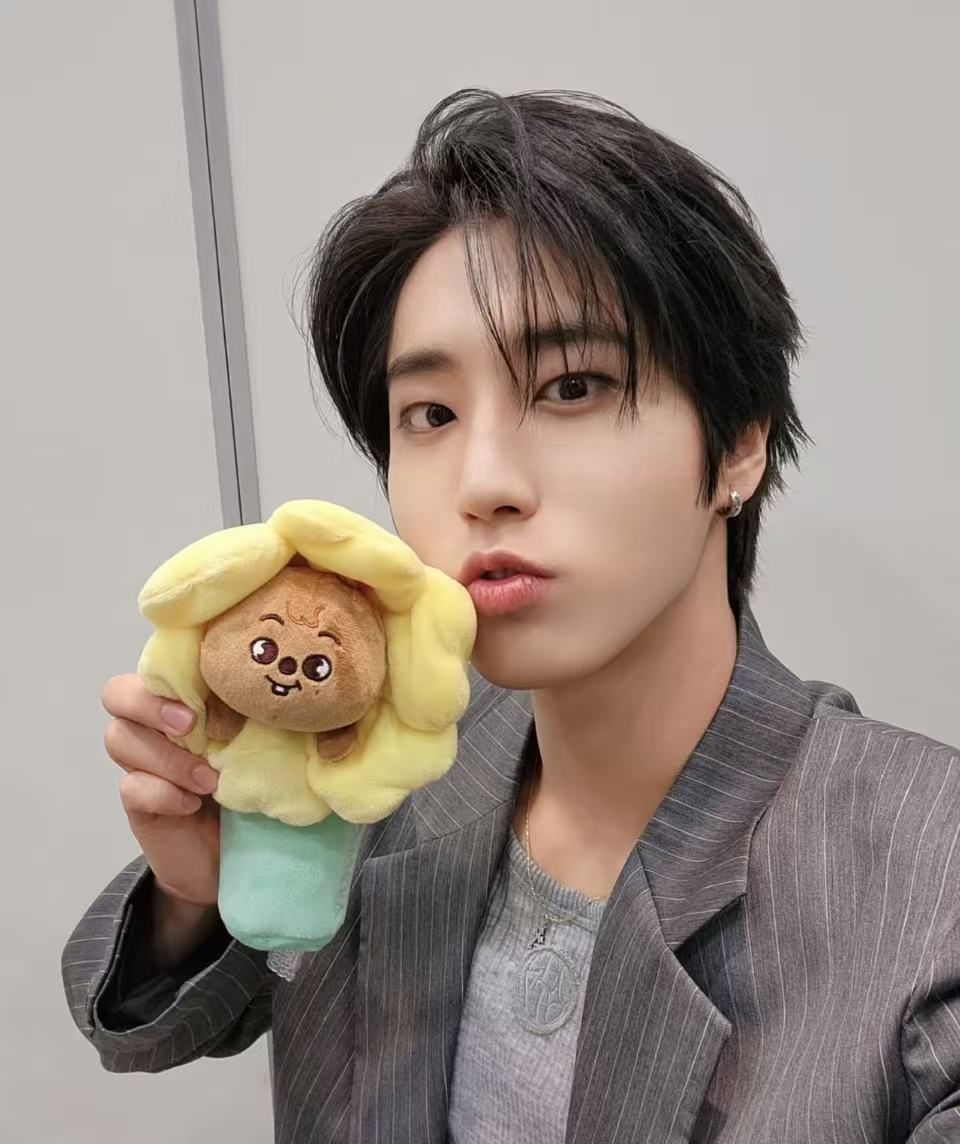 

Skzoo Cartoon Stuffed Animals Plush Flower Korean Wolfchan Leebit Dwaekki Hanquokka Jiniret Bbokari Stray Kids Fans Gift Toy Cuddly Fluffy Huggable