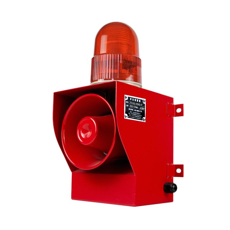 TGSG-06G-P Stainless Steel Outdoor Voice Annunciator: IP66, High Decibel, Sound & Light Alarm, Corrosion Resistant.