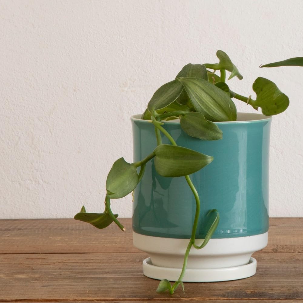 

Leaf88 Made in Japan Hasami Ware Flower Pot with Size and Saucer, 10.5x10.5cm, 3.5 (Turquoise White)