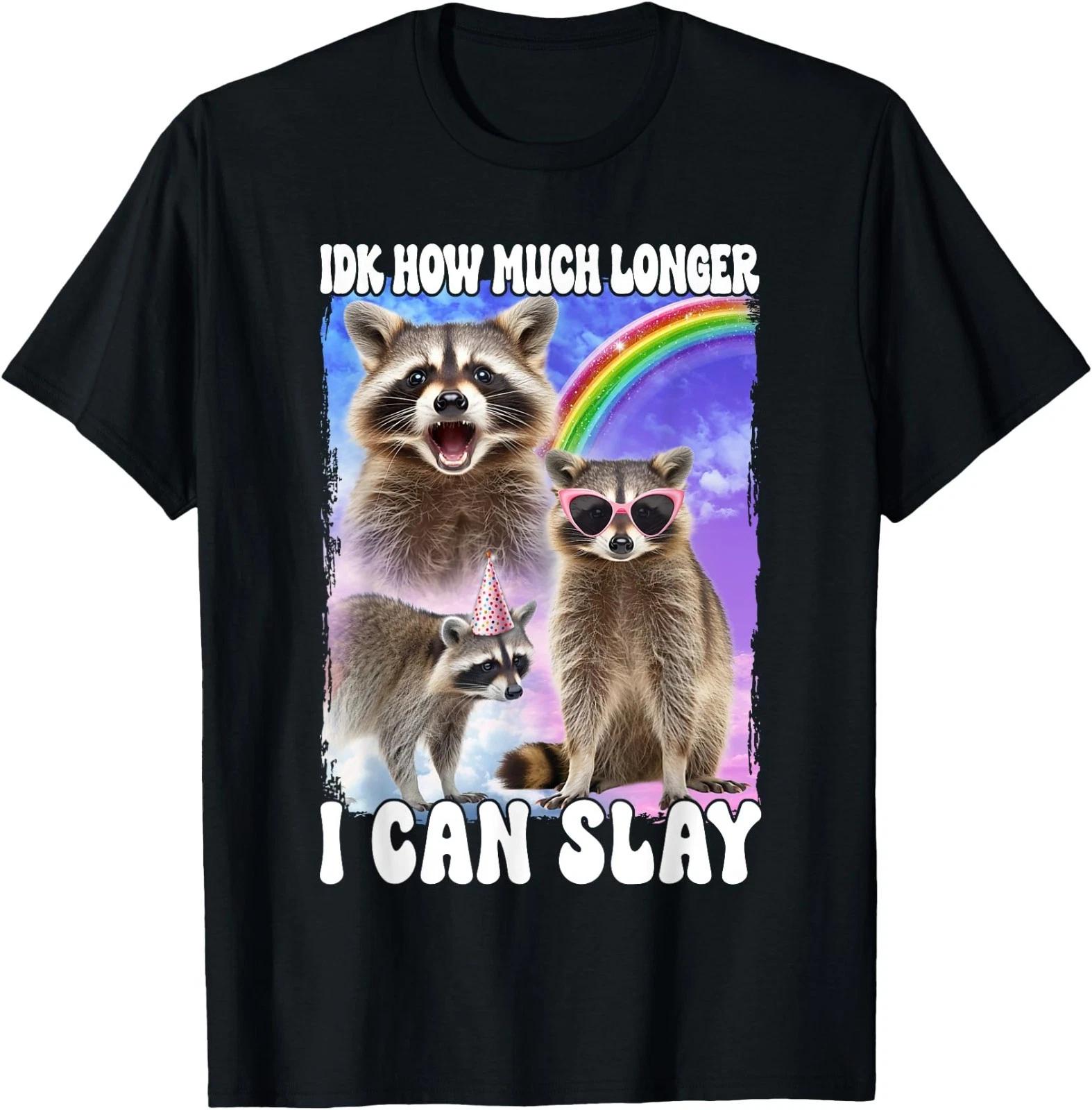 IDK How Much Longer I Can Slay Meme Raccoon Funny T-Shirt 2XL