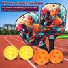 Fiberglas Pickleball Rackets Set Pickleball Paddle Set of 2 Rackets and 4 Pickleballs Balls Pickle-Ball Racquet with Balls Sport